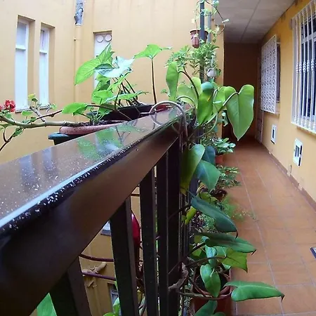 Colonial Square Apartament Puerto de la Cruz (Tenerife)